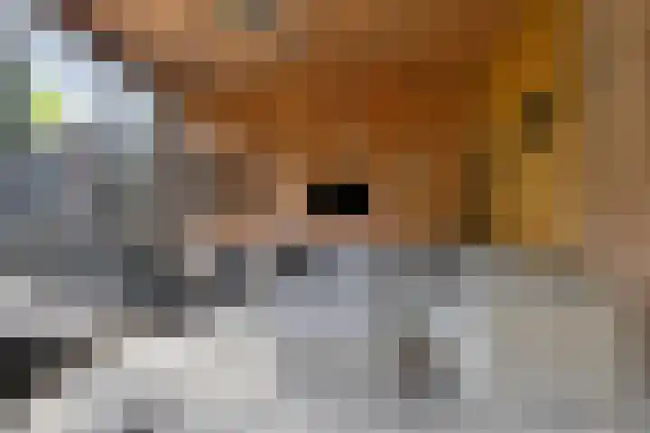 Langstraat 41 a Afferden L thumbnail 34