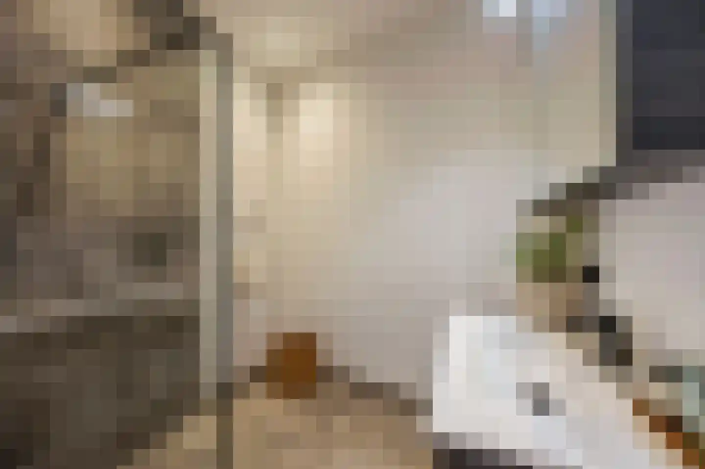 Langstraat 5 C Weert thumbnail 17