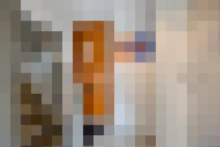 Langstraat 50 Asten thumbnail 22