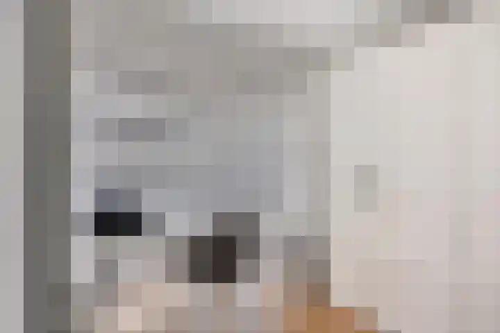 Langstraat 50 Asten thumbnail 25