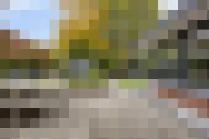 Langstraat 50 Asten thumbnail 38