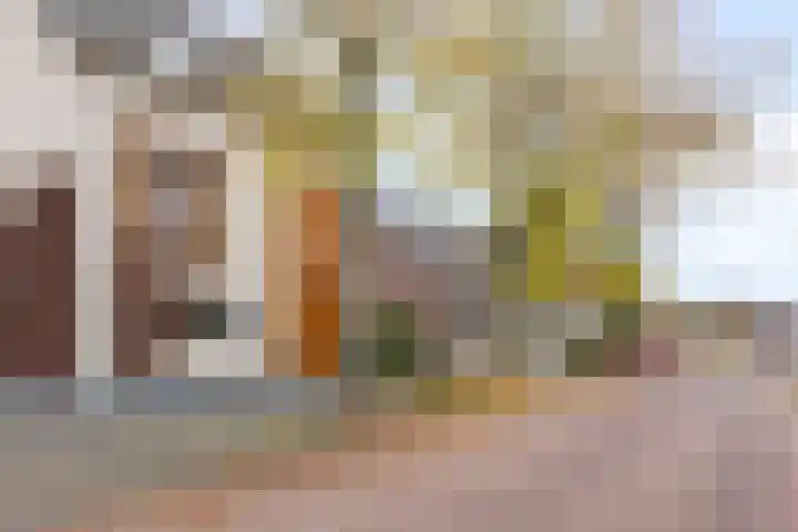 Langstraat 50 Asten thumbnail 51