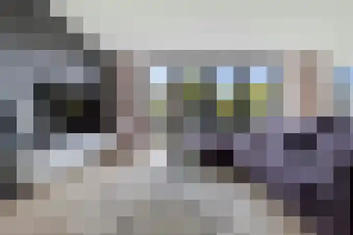 Langstraat 54 Venlo thumbnail 7