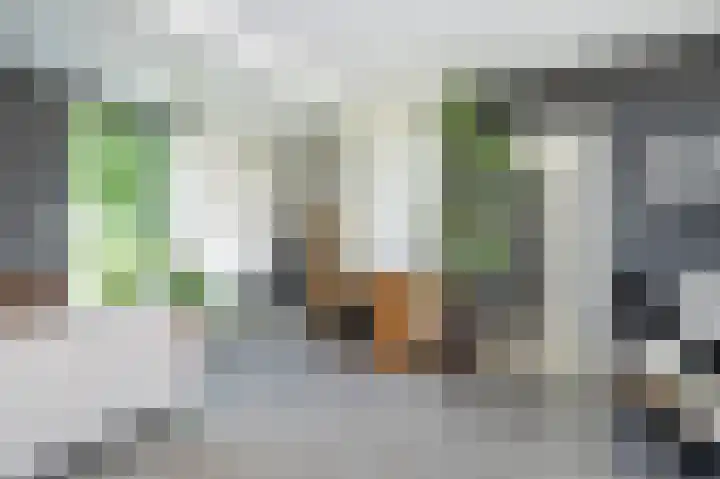 Langstraat 68 Achthuizen thumbnail 11