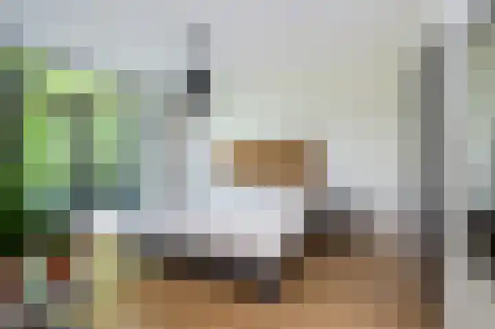 Langstraat 68 Achthuizen thumbnail 20