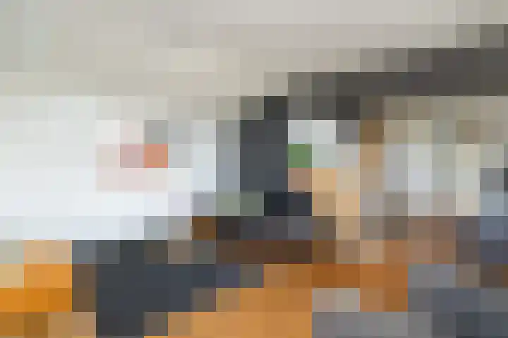 Langstraat 68 Achthuizen thumbnail 31