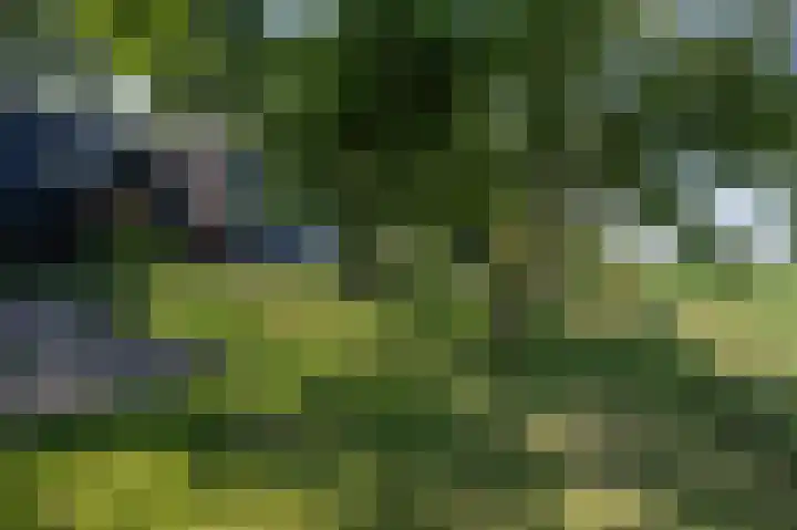 Langstraat 68 Achthuizen thumbnail 64