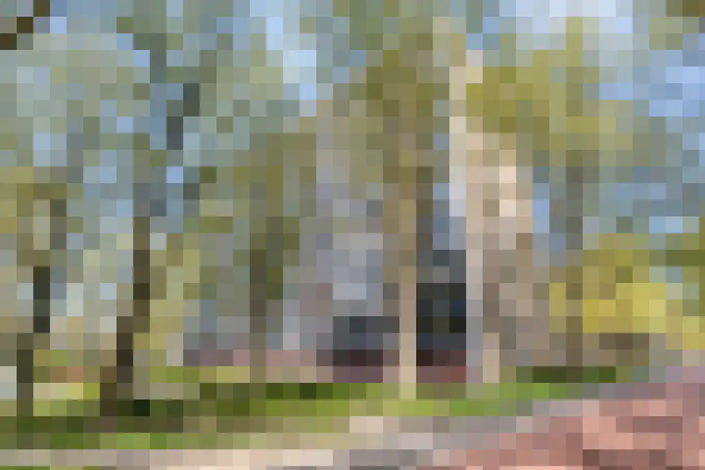 Langswater 338 Amsterdam thumbnail 23