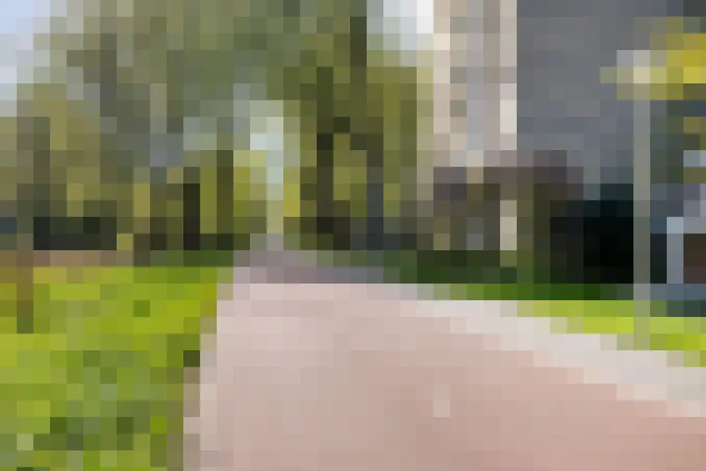 Langswater 338 Amsterdam thumbnail 25
