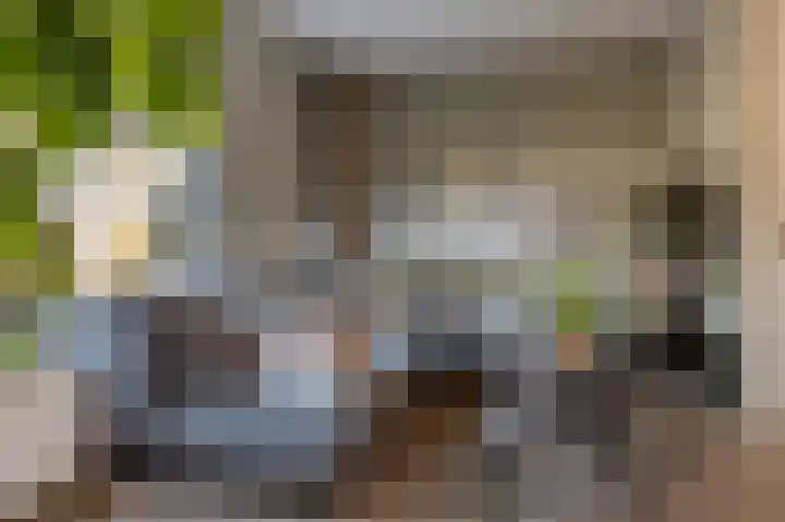 Langswater 376 Amsterdam thumbnail 9
