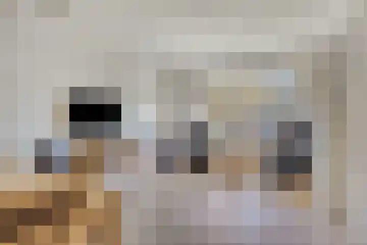 Langswater 415 in Amsterdam