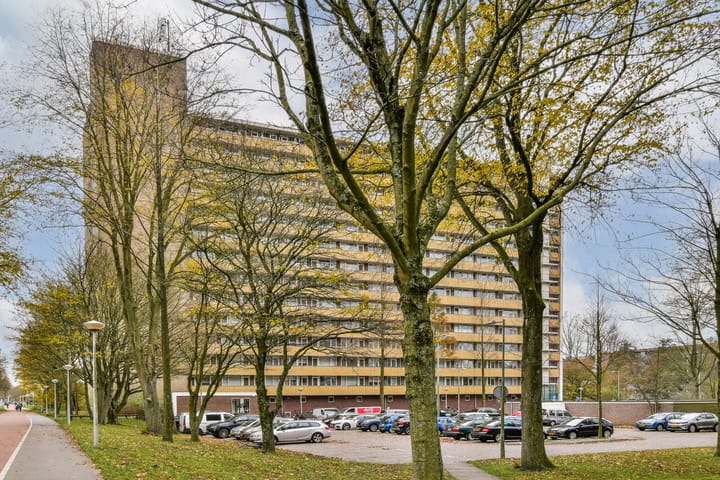 Langswater 50 in Amsterdam foto