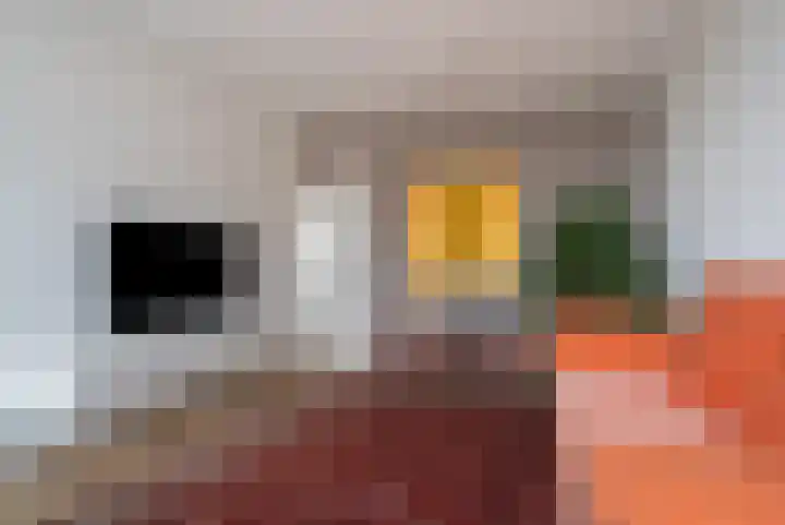 Langswater 755 Amsterdam thumbnail 6