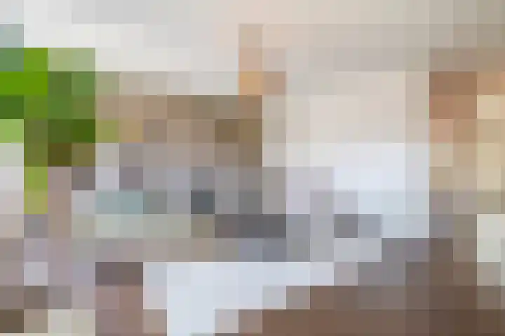 Langveld 20 Meijel thumbnail 10