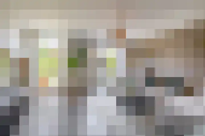 Langveld 20 Meijel thumbnail 12