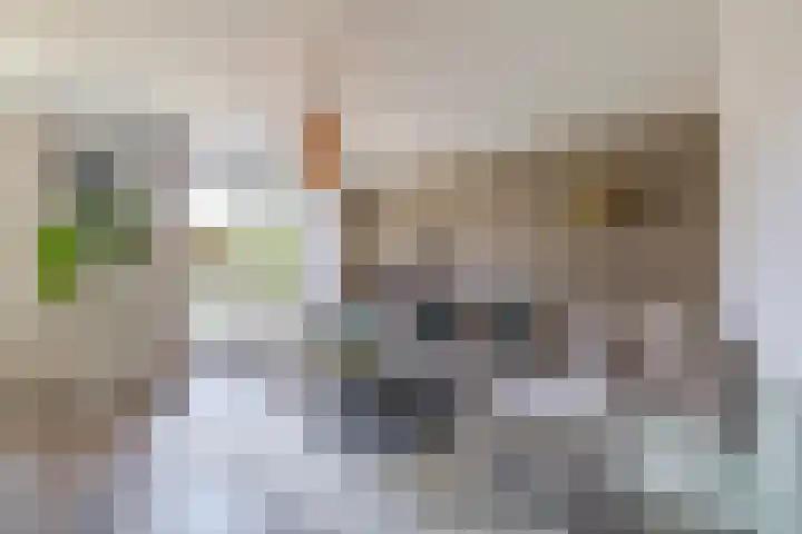 Langveld 20 Meijel thumbnail 13