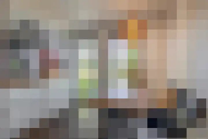 Langveld 20 Meijel thumbnail 15