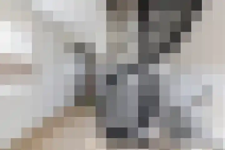 Langveld 20 Meijel thumbnail 23