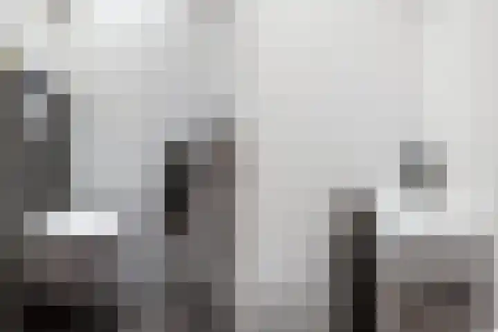 Langveld 20 Meijel thumbnail 32