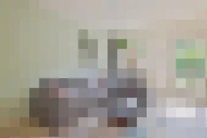 Langveld 20 Meijel thumbnail 36