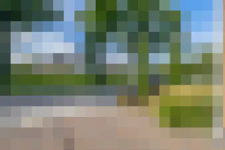 Langveld 20 Meijel thumbnail 37