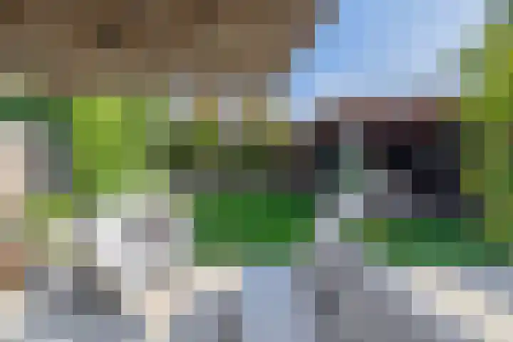Langveld 20 Meijel thumbnail 40