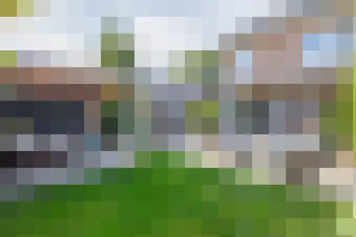 Langveld 20 Meijel thumbnail 42