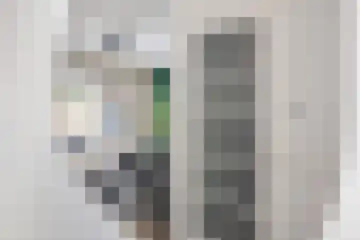 Langveld 22 Meijel thumbnail 10
