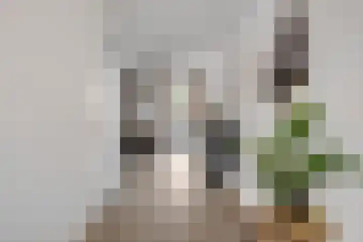 Langveld 22 Meijel thumbnail 11