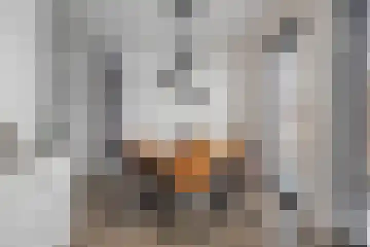 Langveld 22 Meijel thumbnail 15