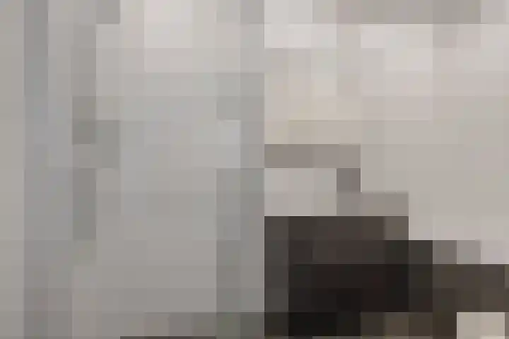 Langveld 22 Meijel thumbnail 30