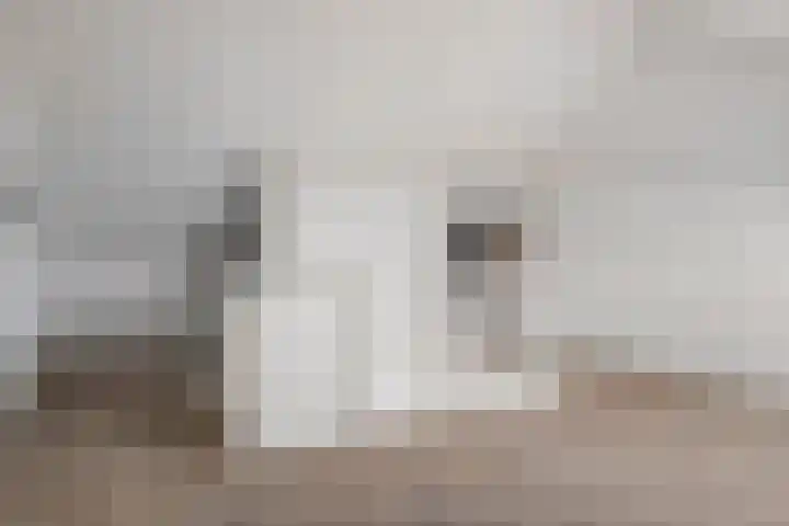Langveld 22 Meijel thumbnail 32