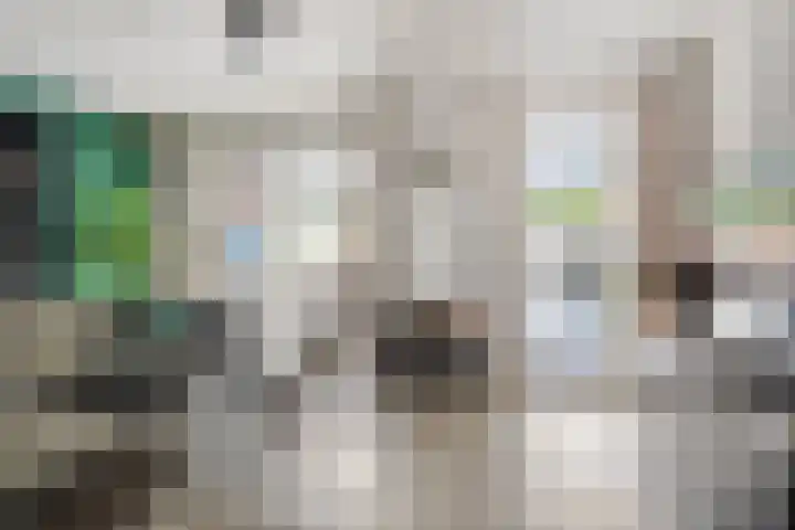 Langveld 22 Meijel thumbnail 4