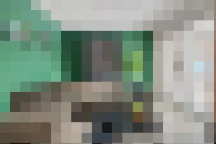Langveld 22 Meijel thumbnail 5