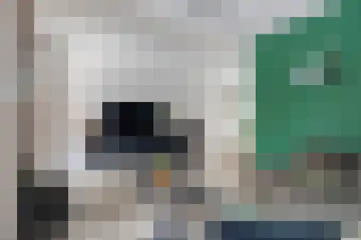 Langveld 22 Meijel thumbnail 7