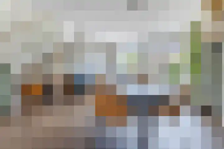 Langveld 8 Bergeijk thumbnail 10