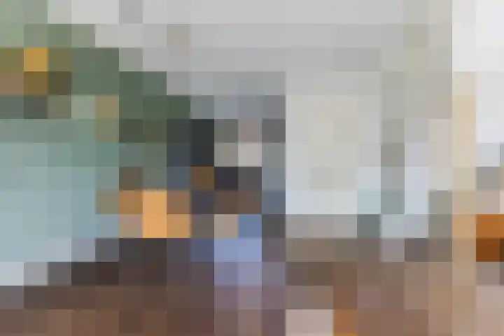 Langveld 8 Bergeijk thumbnail 11