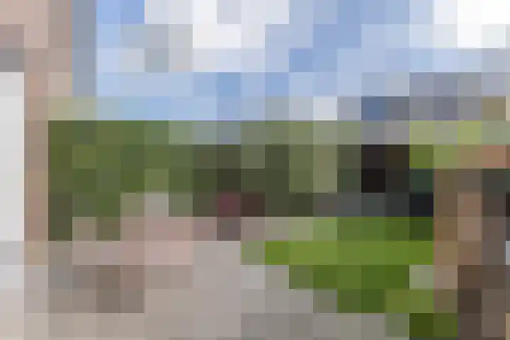 Langveld 8 Bergeijk thumbnail 24