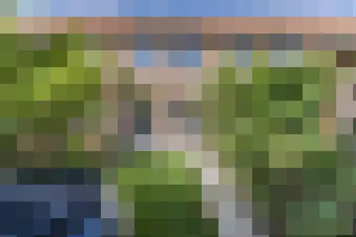 Langveld 8 Bergeijk thumbnail 26