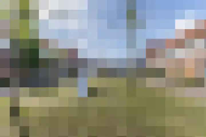 Langveld 8 Bergeijk thumbnail 30