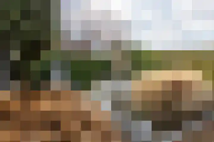 Langweide 11 Wijnandsrade thumbnail 38