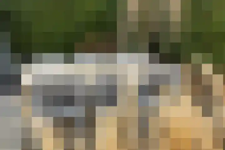 Langweide 11 Wijnandsrade thumbnail 40