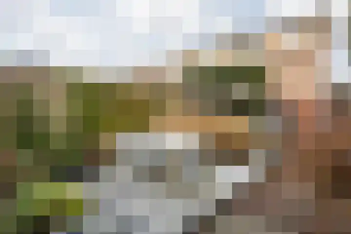 Langweide 11 Wijnandsrade thumbnail 41