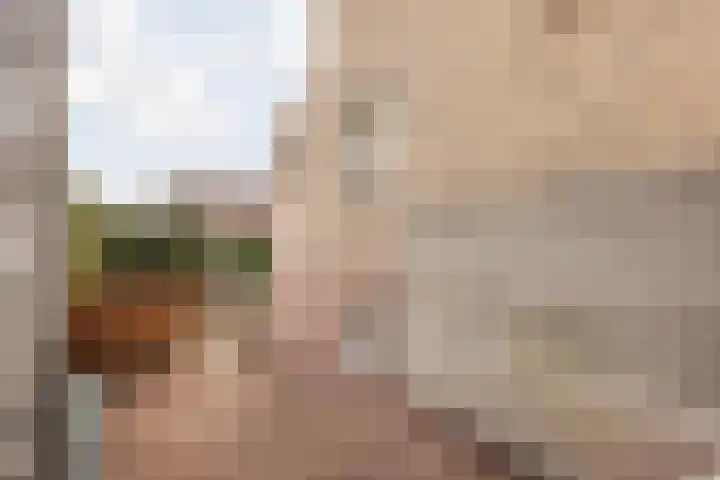 Langweide 11 Wijnandsrade thumbnail 47