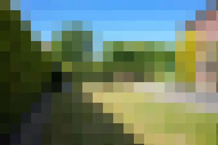 Langweide 6 Beek thumbnail 35