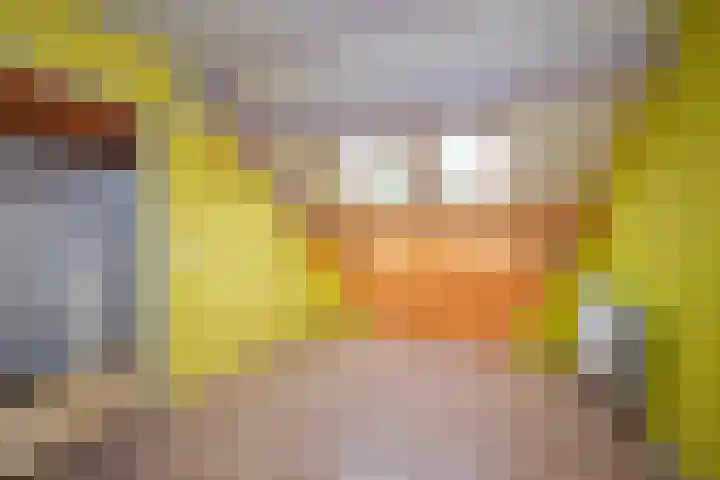Lankheethoek 33 Enschede thumbnail 21