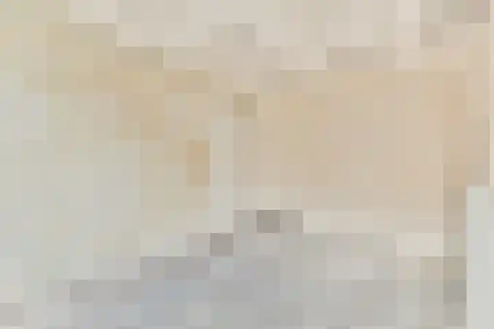 Team foto van Lankhorst Makelaars