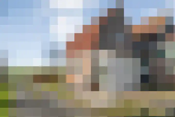 Lankhorsterweg 20 Staphorst thumbnail 31