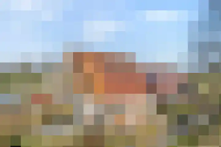 Lankhorsterweg 20 Staphorst thumbnail 38