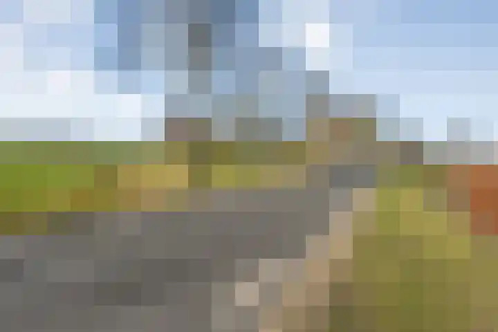 Lankhorsterweg 20 Staphorst thumbnail 45